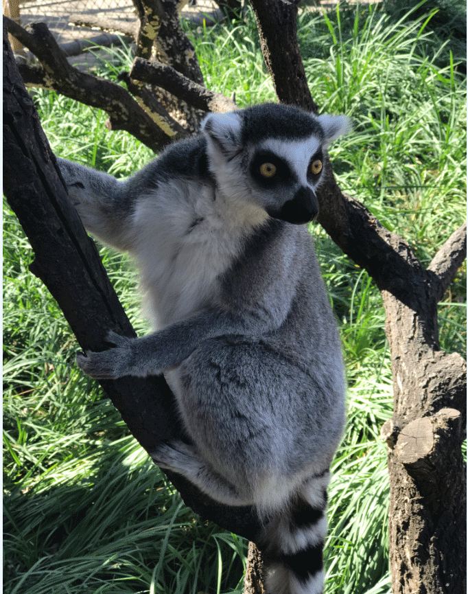 1539415382436950.png 微信圖片_20181013152213.png